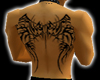 Any Skin Tatoo *Muscolar