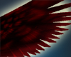 Red tipped wings