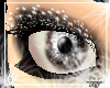 [Fly] Snow Dusted Lashes