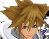 Sora Final Form