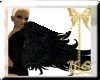 LS Dark Angel