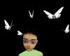 DB Angelic Butterflies