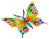 Pretty butterfly
