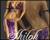 *Shiloh*Purple Chaos