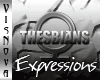 *VN� EXPRESSIONS V1