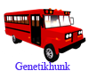 Family Bus