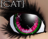 {CAT}Fragile-Watermelon