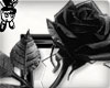 Black Rose Frame