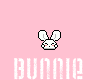 Bunnie <33