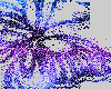 blue & purple butterfly