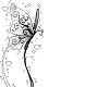 {Black butterfly}*