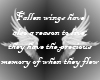 [BlackWhite]Fallen Wings