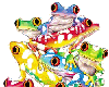 Frog Balance