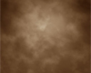 Vintage Backdrop