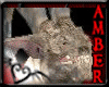 Amber* Dark Gator Lord
