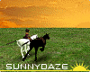 Blazing Sunset Ride
