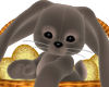 Easter Bunny 03