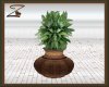 Z Galeon Planter