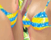 (Request)BlueStripe