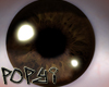 Male Brown Eye's