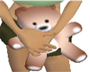 Brown teddy