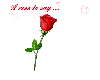 Animated Rose
