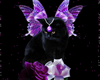 Kitty Fairy