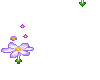 falling flowers
