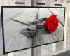 (H)Red rose..