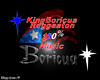 boricua mix 12