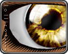 *L� iGleam - Brown