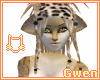 [G] Leopard -F- Bundle