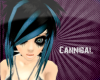 Black and blue Kotomi