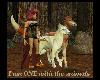 I am ONE with the animal