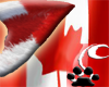 [N] CanadianFur NekoEars