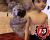 #13 Koala