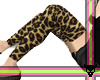 !!Ipeed`s Tights