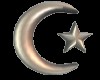 Animated Moon and star