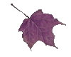 sticker_2487428_4350143