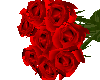 Red Rose Dozen