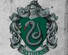 Slytherin Sticker