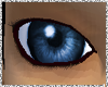 [P] Blue Eyes (m)