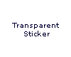 Large Clear Curtain