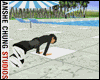 [ACS] BREAK DANCE II