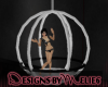 Product Image for Round Dance Cage w/b
