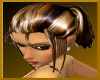 Highlights Exotic