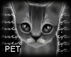 m.. Mimumimu Kitten