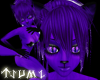 ~[Tsu]~ Psych Tail