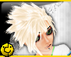 [ Platinum Akito