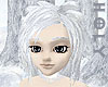 Very Silver Shining Hair